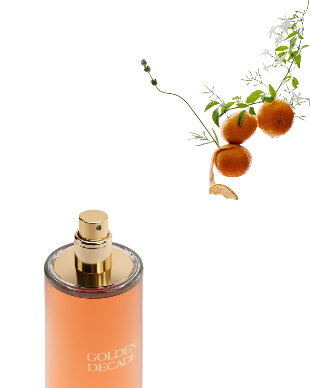 ZARA GOLDEN DECADE EAU DE PARFUM 80ML