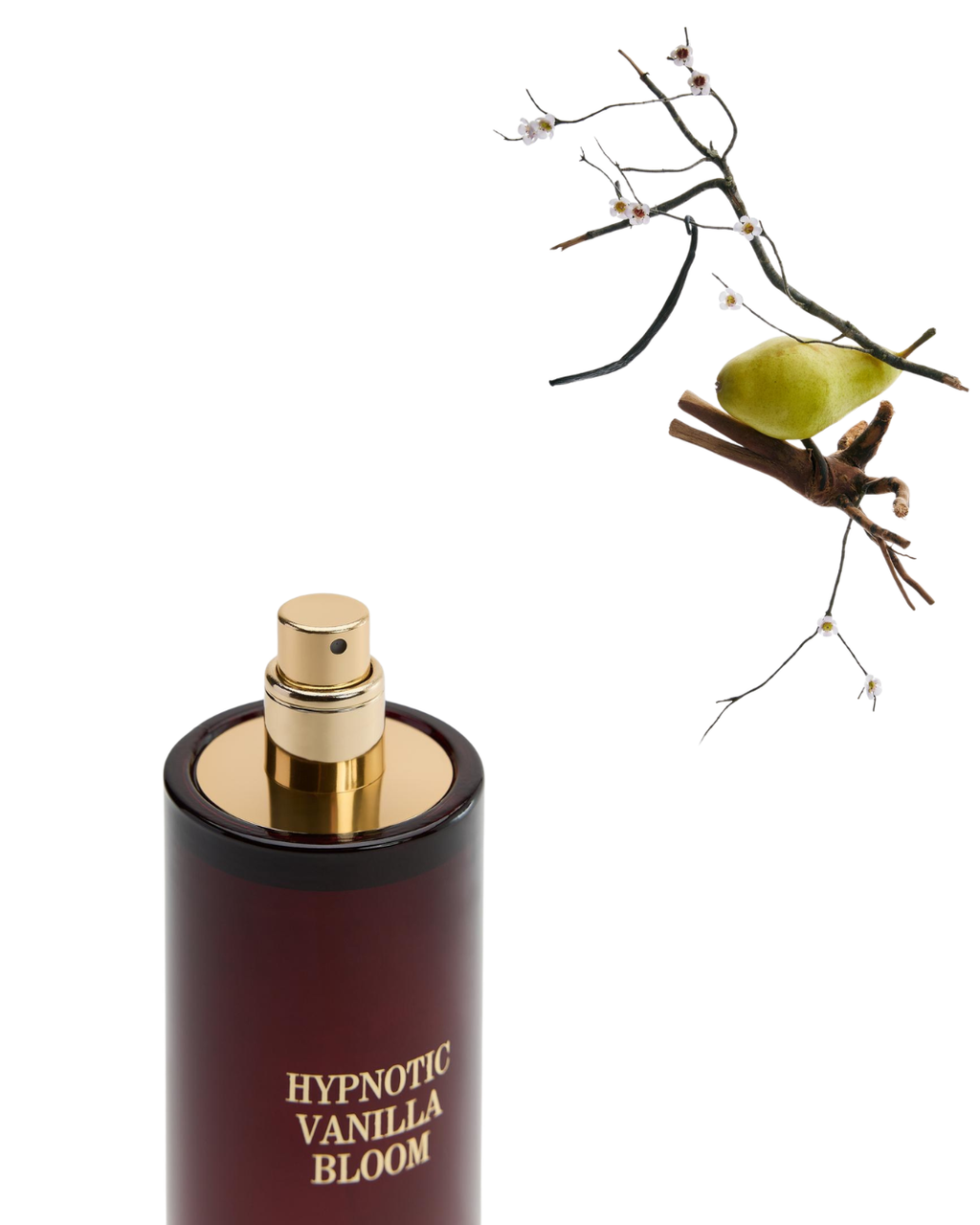 ZARA HYPNOTIC VANILLA Eau De Parfum 80 ML